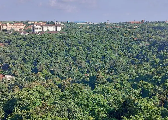 Tata Rio De Goa ,Good Stay 1 Bhk Apartment,10 Min From Airport, 604